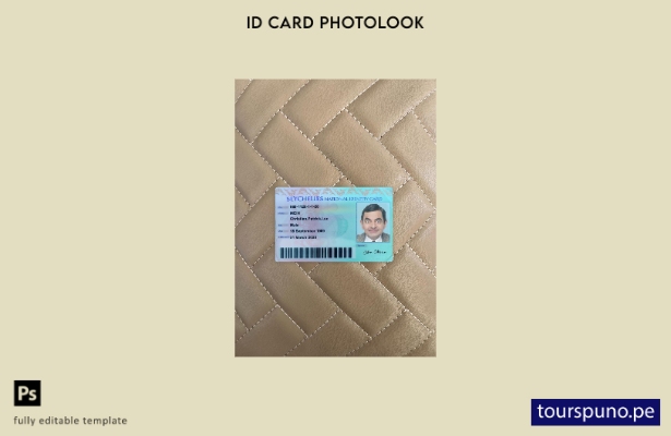 listo para imprimir plantilla frontal de aspecto fotográfico de tarjeta de id 32